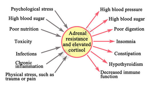 肾上腺抵抗和皮质醇升高图片