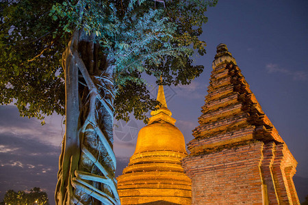 泰国素可泰省素可泰历史公园玛哈泰寺的水灯节佛塔图片