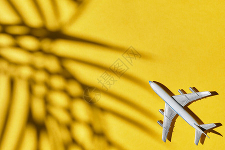 黄色的玩具飞机有棕榈树和顶图片