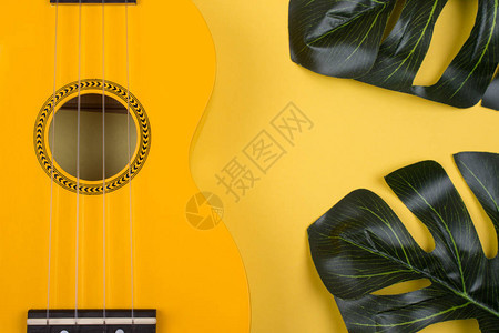 黄色背景上亮黄色的尤克里吉他和龟背竹叶的主体图片