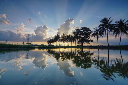 反射阳光穿过云层前景是椰子树图片