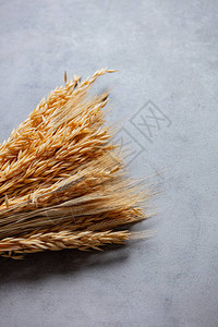 灰色背景上的小麦穗图片