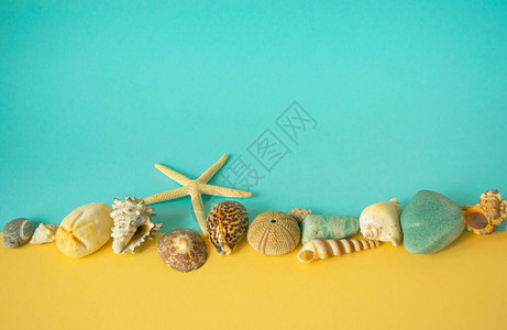 蓝色和黄色背景纸上贝壳石头和海星的海洋成分图片