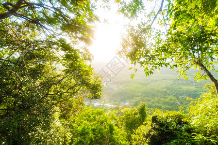 美丽的夏日出在山中与阳光图片