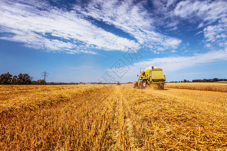 麦田收割农机背景图片