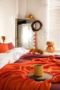 在家用橘子毯在床上热饮以秋图片