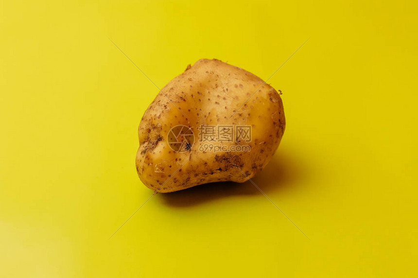 变种人奇异的有机大马铃薯在黄色背景上摇摆着图片
