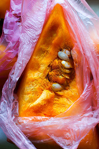 塑料袋中的生南瓜块零废物智能消费市场蔬菜选择背景图片