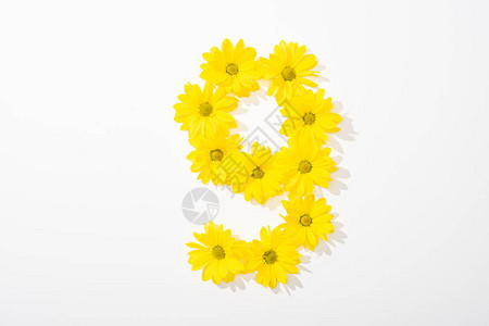 在白色背景上排列为9的黄色小背景图片