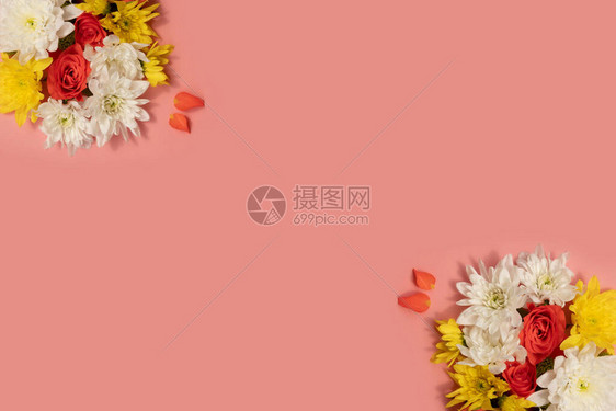 珊瑚玫瑰与白黄菊花珊瑚背景的组成图片
