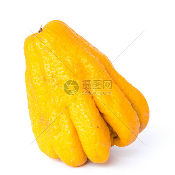 一种成熟的佛手果或佛手指香橼果柑橘药材图片