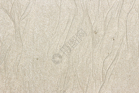 沙滩上沙子的图案纹理图片