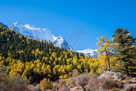 山风景在稻城亚丁的雪山四川图片