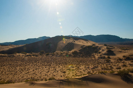 在沙漠的日落沙丘景观图片