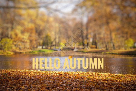 横幅你好秋天新的一个月问候卡金色的秋天秋天在公园里照片中的文字秋天公园图片