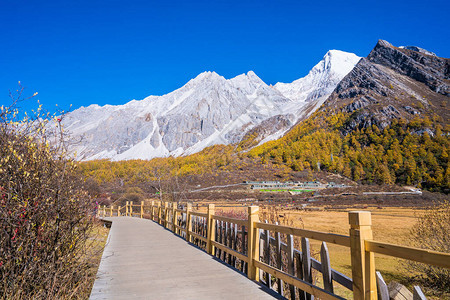 山地景观四川大田图片