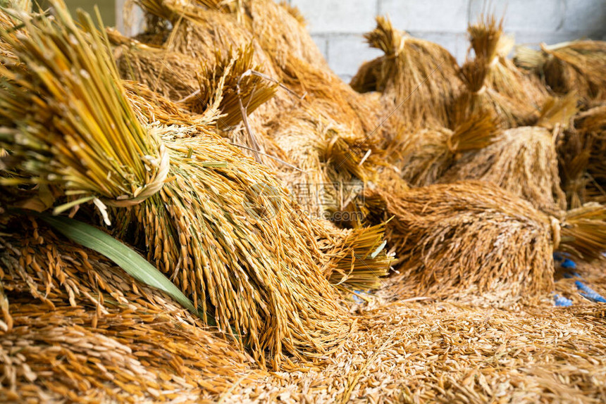 收获后须要哪些治理