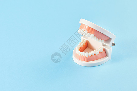 牙龈牙齿口腔模型背景图片