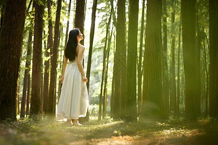 树林里散步的美女背影图片