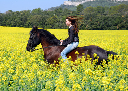 骑着年轻女人和她最好的黑种马图片