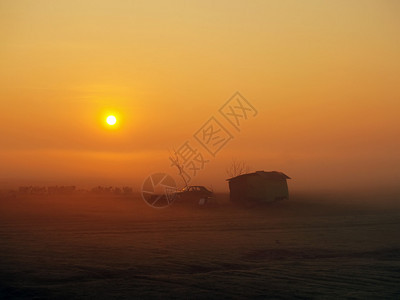游牧的农夫们在清晨的迷雾图片