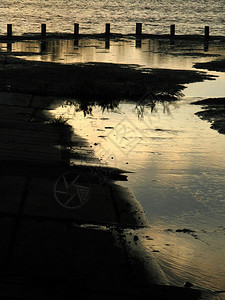 池塘附近的日落图片