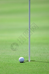 高尔夫球场图片与白色高尔夫球和洞图片