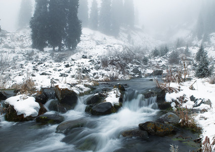 雾与冬溪图片