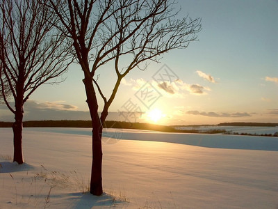 冬天的日落在雪上覆着的田地上在图片