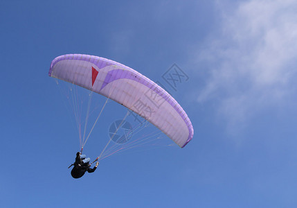 紫色滑翔伞飞行图片