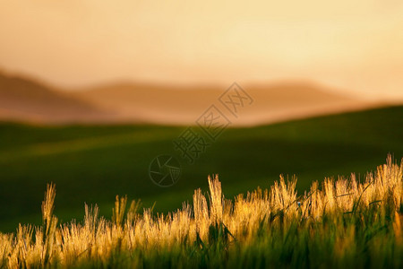 典型的托斯卡纳风景在日落的风景图片