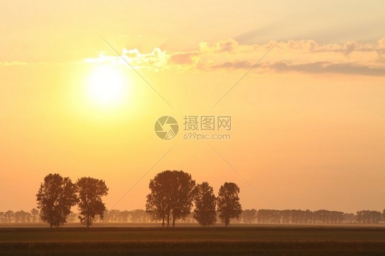 在炎热的清晨暴风雨中图片