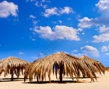 热带海滩上的遮阳伞图片