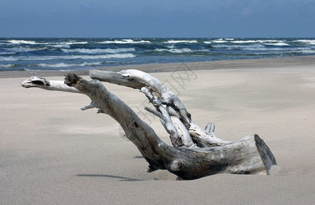 漂流在空浅的海滨上图片