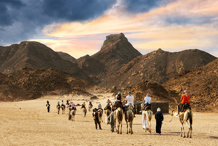 骆驼商队穿过沙漠图片