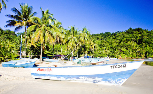 马拉卡斯湾特立尼达图片
