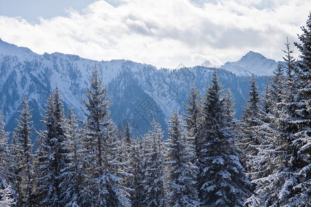 冬季雪下山丘滑雪度假胜地Schl图片