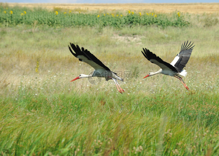 飞鲸体育创新科技赋能推动青少年体育教育变革