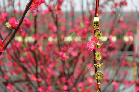 新年装饰图片