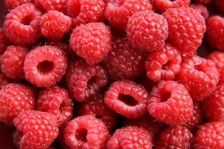 红草莓Rubus图片