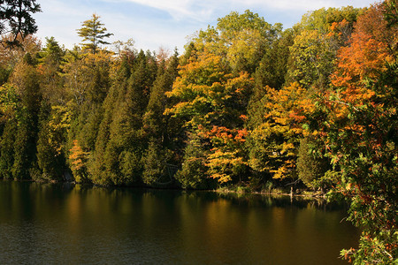 克劳福德湖周围的树木和灌木以传统的早秋色彩呈现黄色红色棕色和绿色图片
