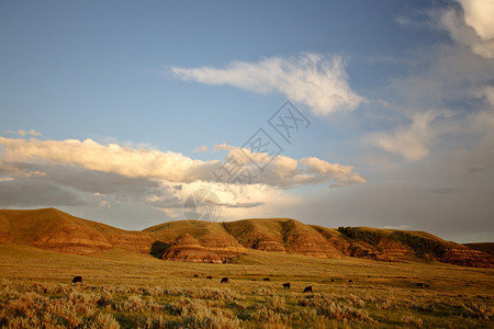 萨斯喀彻温省南部的大泥泞山谷图片