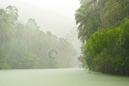 在穿过雨林的河流上方的热带雨图片