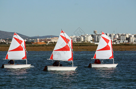 三个年轻人驾驶着小型帆船城市在背景图片