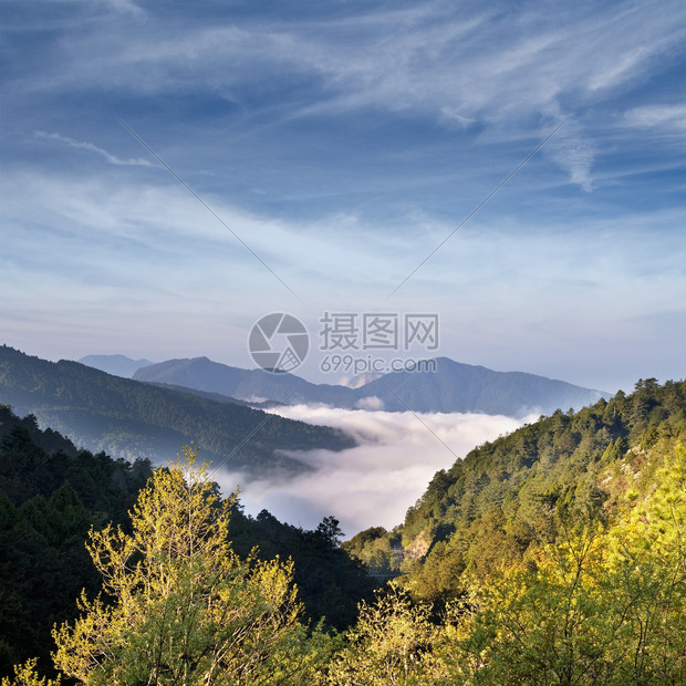 亚洲Alishan风景区有树木和图片