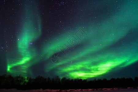 芬兰Kaamanen附近的北光Aurorano图片
