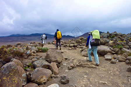攀登非洲最高山峰乞力马扎罗山图片