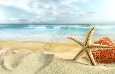 海滩上的海星和珊瑚图片