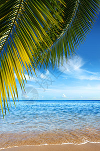 美丽的热带海滩有清晰的图片