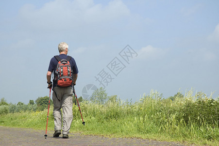 老人在阳光下进行北欧式健走背景图片
